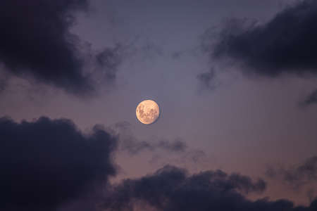 SEMD110  - 
Moonrise - Waxing 95%
6th April 2020 - 5.38pm
Camera - Nikon D800 
F5.6 - ISO 200 - 1/250 second - Focal Length 300mm