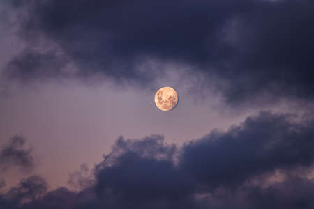 SEMD111  - 
Moonrise - Waxing 95%
6th April 2020 - 5.40pm
Camera - Nikon D800 
F5.6 - ISO 200 - 1/160 second - Focal Length 300mm